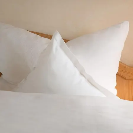 Hotel Mehl