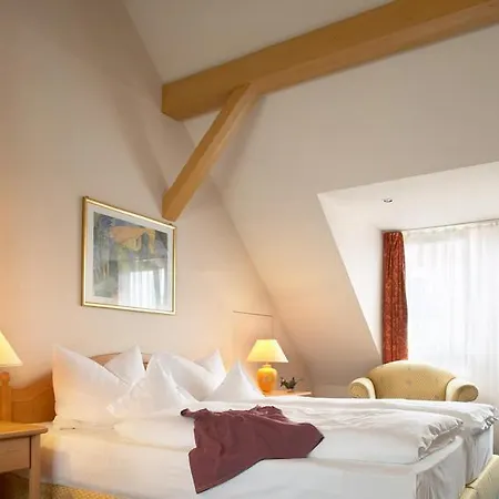 Hotel Mehl 3*