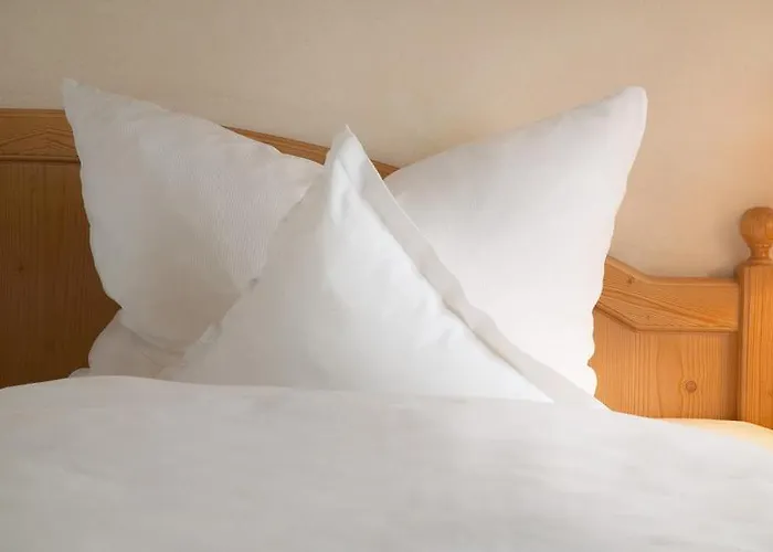 Hotel Mehl